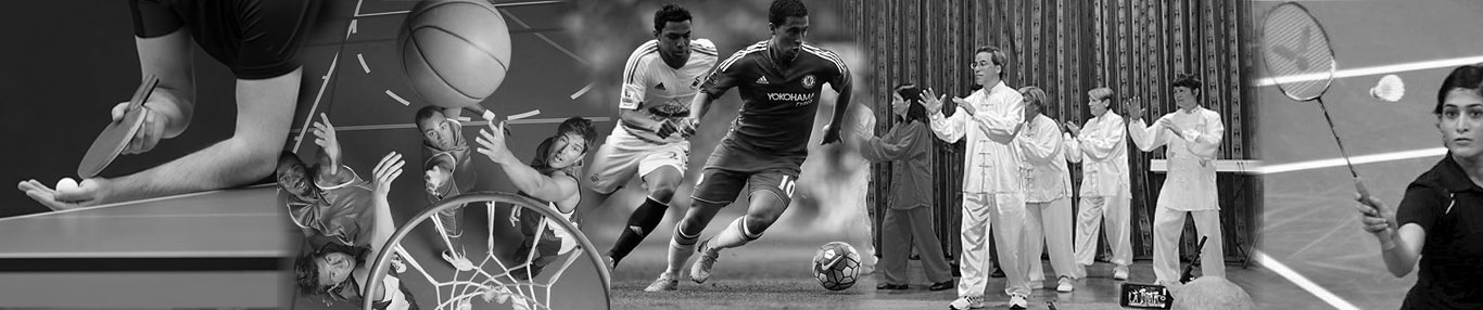 sports是什么意思,sport是什么意思车上的 sportsbanner (87k)