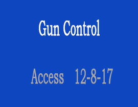 access-guncontrol (8K)