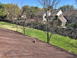 roof04