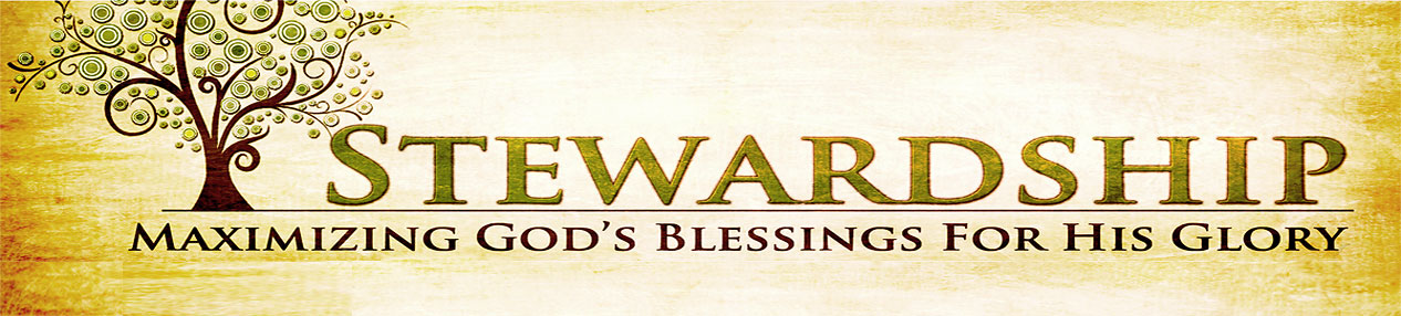 stewardshipbanner (121K)